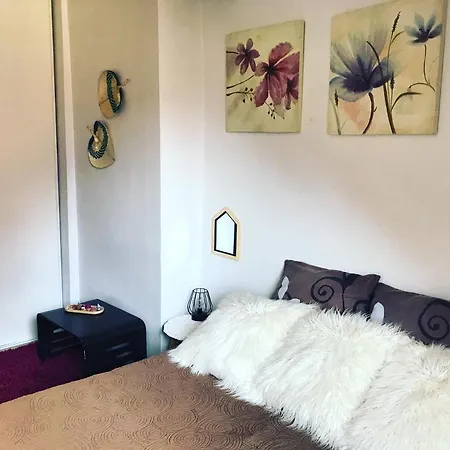 Apartment Chez Pralin & Praline Annecy